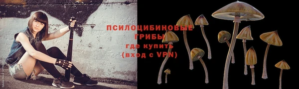 прущие крисы Абаза