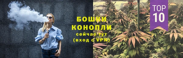 гашик Нефтегорск